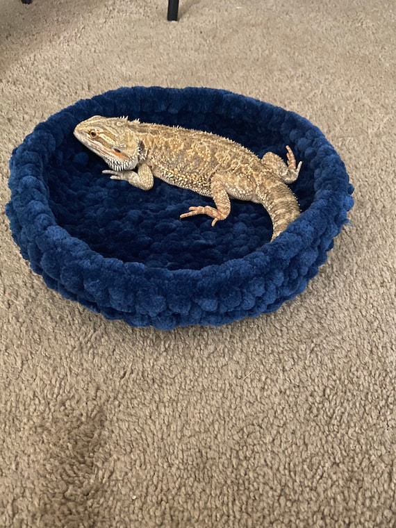 Custom Made Crochet Bearded Dragon Bed Etsy