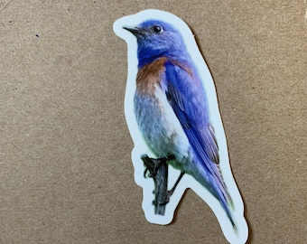 May include: A bluebird sticker with a white chest and brown throat. The bird is perched on a branch and has its wings folded. The sticker is about 4 inches tall.