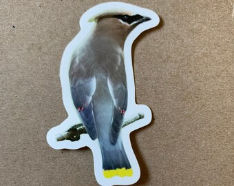 Die-cut Sticker: Cedar Waxwing