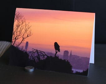 Blank Nature Greeting Card: Owl and the City