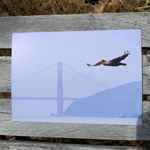 May include: A brown pelican flies over the Golden Gate Bridge in San Francisco, California. The bridge is in the background and the pelican is in the foreground. The sky is a light blue color and there is a slight haze in the air.