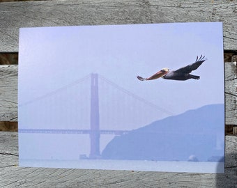 Postcard: Pelican Fly-By