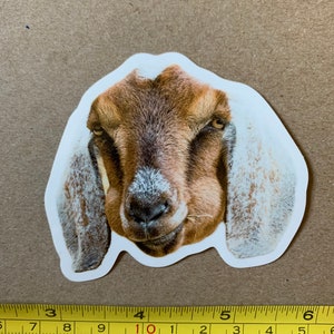 Die-cut Sticker: Goat