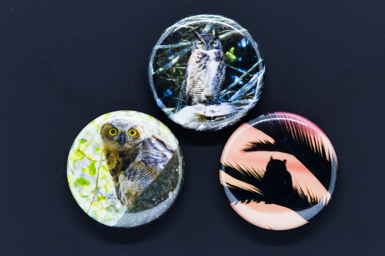 Owl Trio Set of 3 1-inch photo magnets