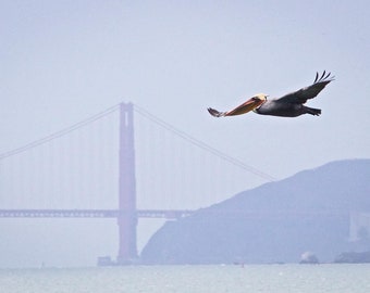 Blank Nature Greeting Card: Golden Gate Flyby