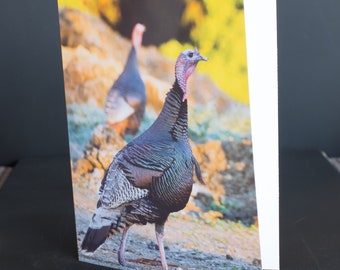 Blank Nature Greeting Card: Fall Turkeys