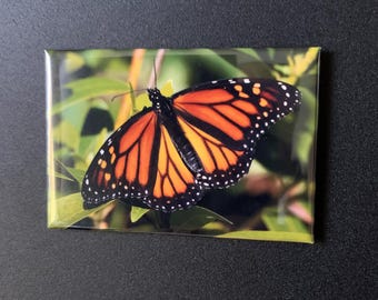 Monarch Butterfly: 2-inch by 3-inch magnet (vertical)
