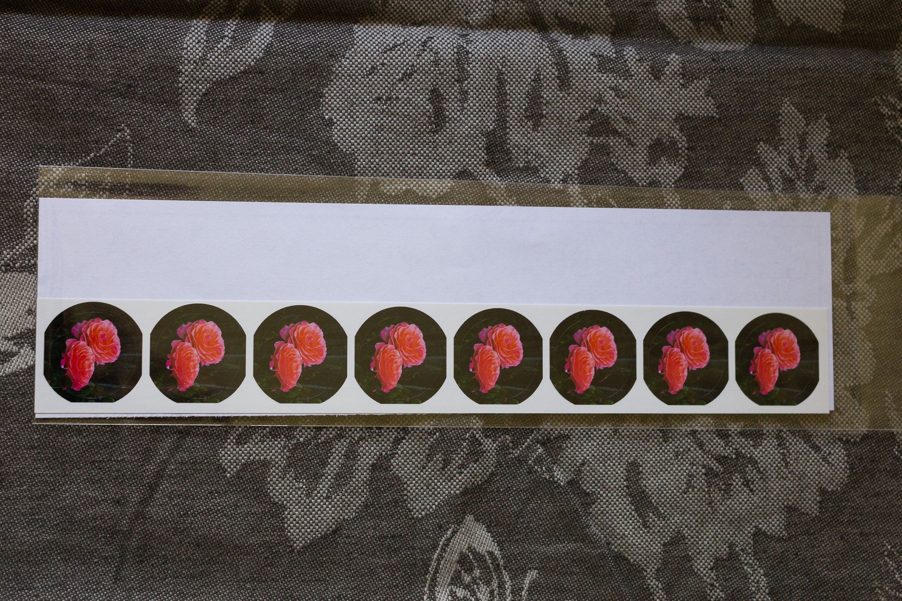 1-inch Sticker Set– Garden Rose - Etsy