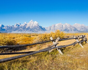 Blank Nature Greeting Card: Teton Fence