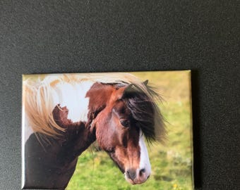 Icelandic Horse: 2-inch by 3-inch magnet (vertical)
