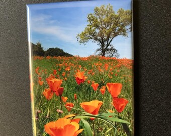 California Poppies: 2-inch by 3-inch magnet (vertical)