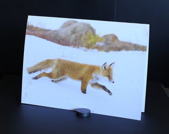 Blank Nature Greeting Card: Red Fox Pup in snow