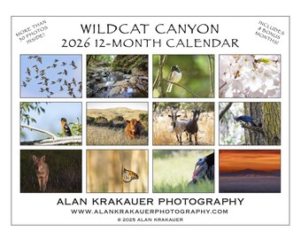 2026 Wildcat Canyon Wall Calendar