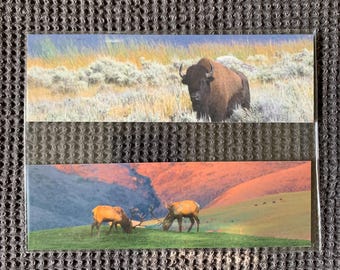 Bookmark 2-pack: Elk and Bison