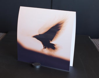 Blank Nature Greeting Card (Square): Raven Flight