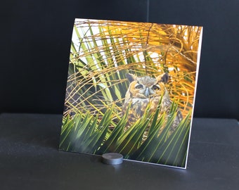 Blank Nature Greeting Card (Square): Owl 2