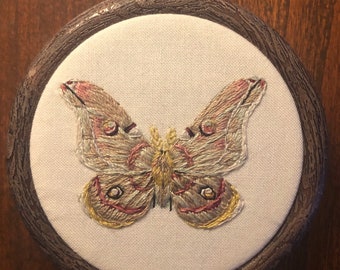 Moth Embroidery Hoop Art