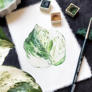 May include: Watercolour painting of a green and white leaf on white paper. The painting is surrounded by watercolour paints and a paintbrush.
