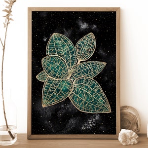 Witchy Botanical Print of a Jewel Orchid, Celestial Print, Plant Wall Art, Botanical Decor, Witchy Christmas Gift, Witchy Decor Boho