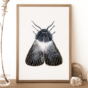 Impresión de polilla de bruja, póster de polilla, impresión de arte mural de insectos, negro y dorado, impresión de mariposa, decoración de bruja, regalo de bruja, academia oscura