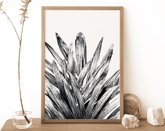 Kunstprint tropisch palmblad, botanische illustratie zwarte pen