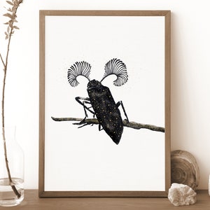 Beetle Insect Print, Animal Witchy Wall Art, Black and Gold Entomology Painting, Insect Poster, Witchy Decor, Witchy Gift