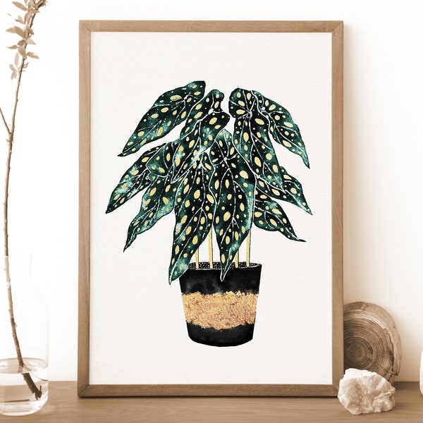 Affiche Botanique de Plante Bégonia, Illustration de plante, Déco Boho Vert Noir et Or, Affiche de Plante, Cadeau Plante