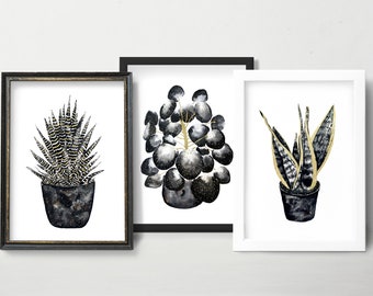 May include: Three framed black and white watercolor illustrations of potted plants. The plants are a snake plant, a ZZ plant, and a succulent. The illustrations are on white backgrounds and have gold accents.