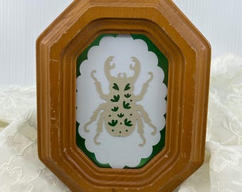 Arte de escarabajos vintage enmarcado en madera, estilo taxidermia, cartulina, papel hecho a mano.