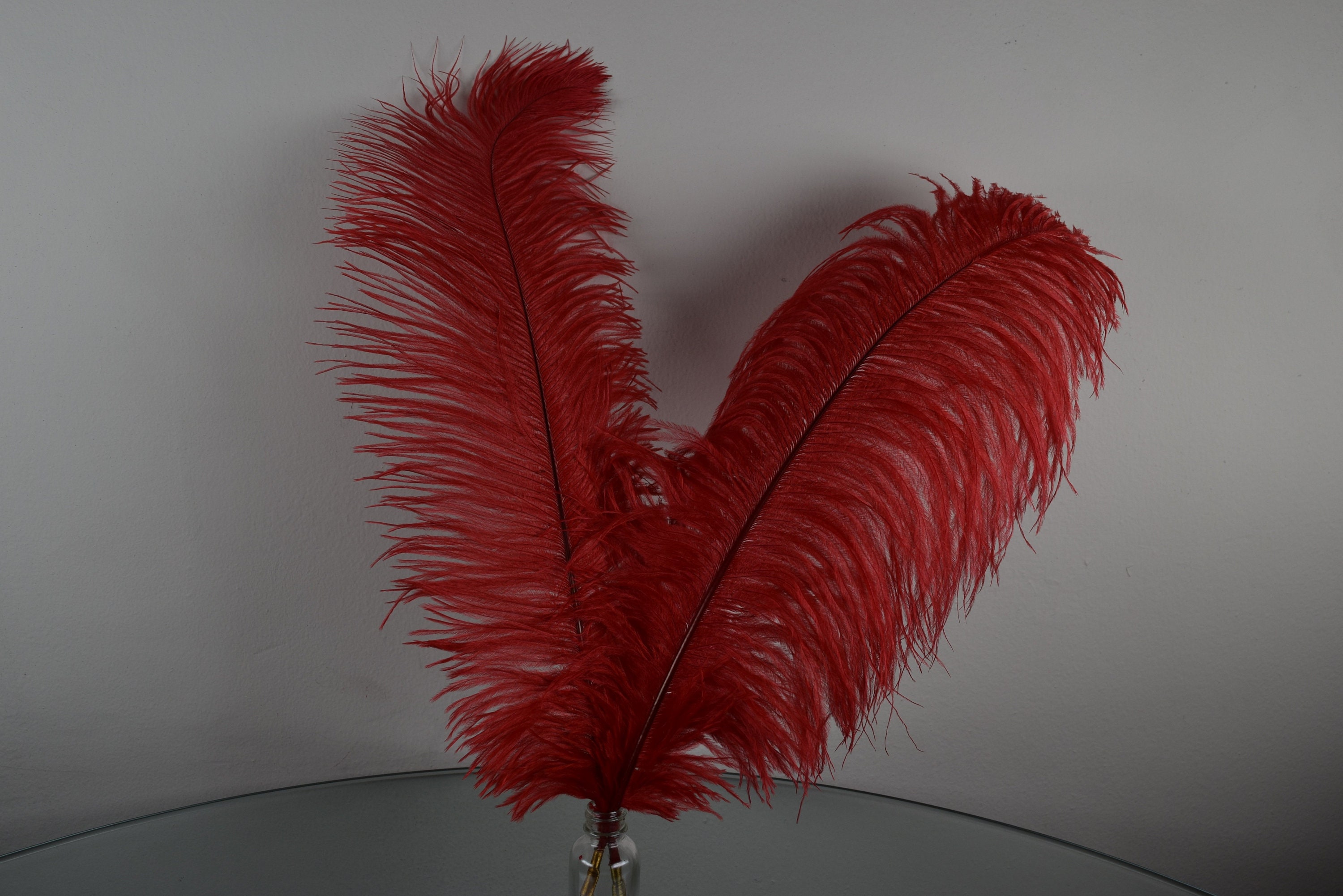 Orvil red feather part 4 image