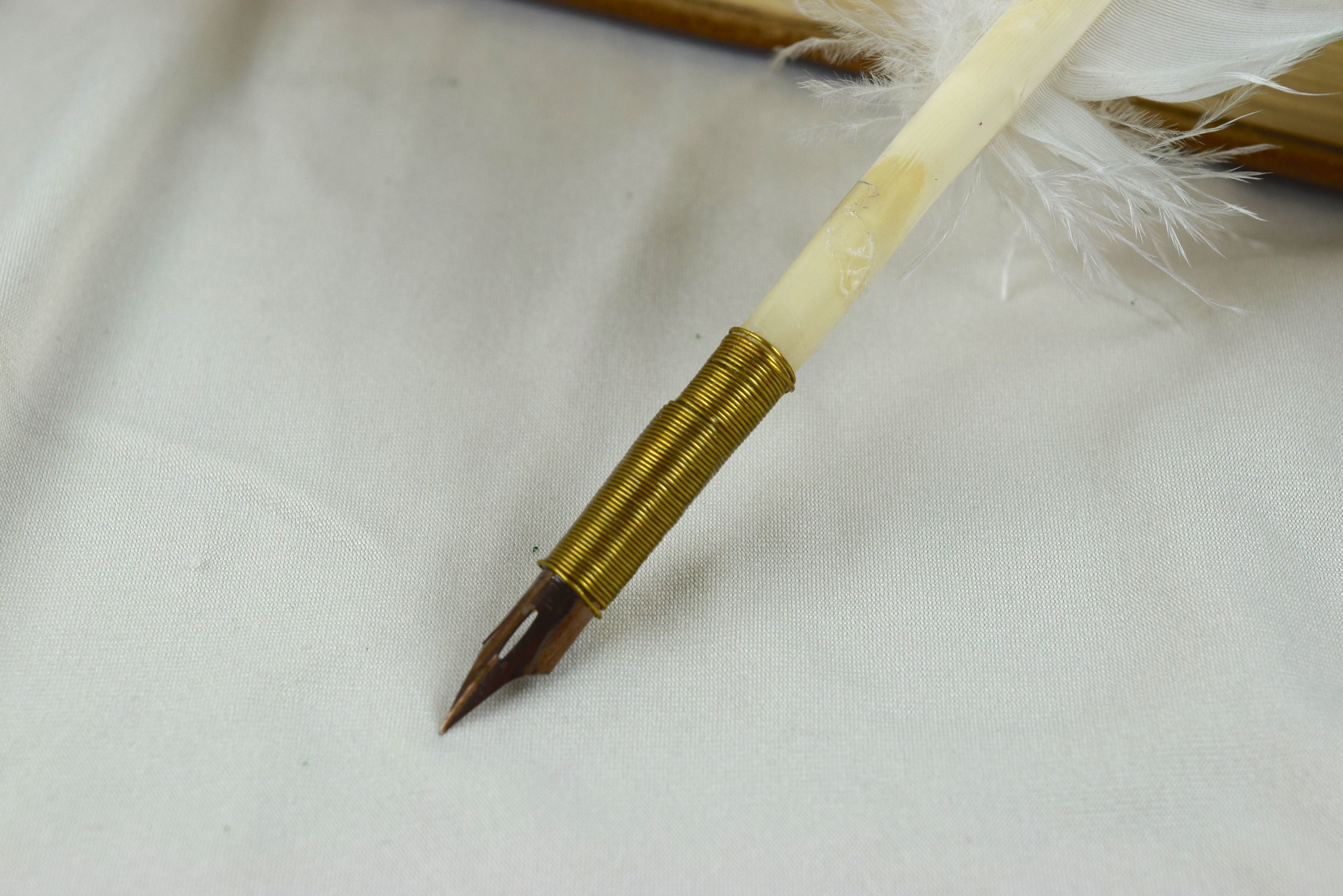 QUILL PENWHITE Turkey Featherweddingguest Etsy