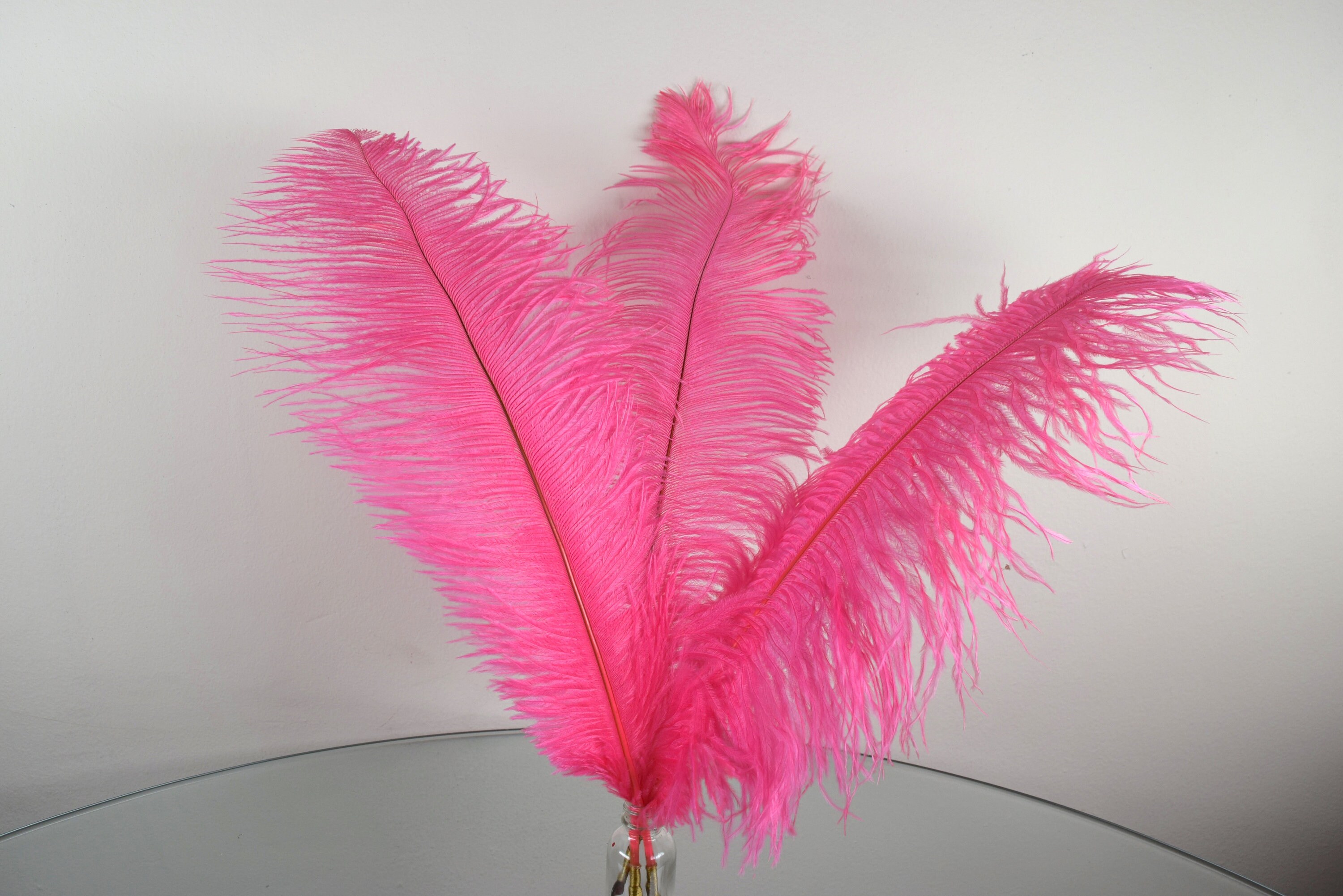 QUILL Pen-hot PINK Ostrich Feather-magic Writing-spell Casting - Etsy