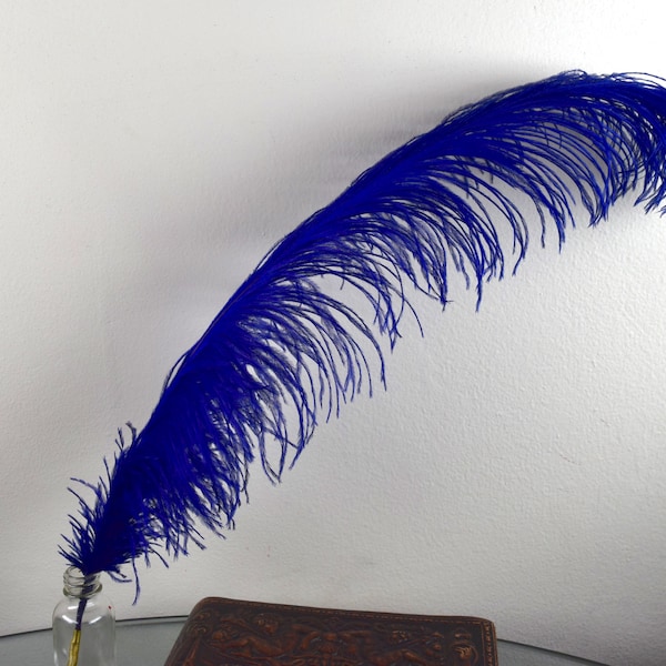 QUILL Pen-ROYAL BLUE Ostrich Feather-Magic Writing-Spell Casting