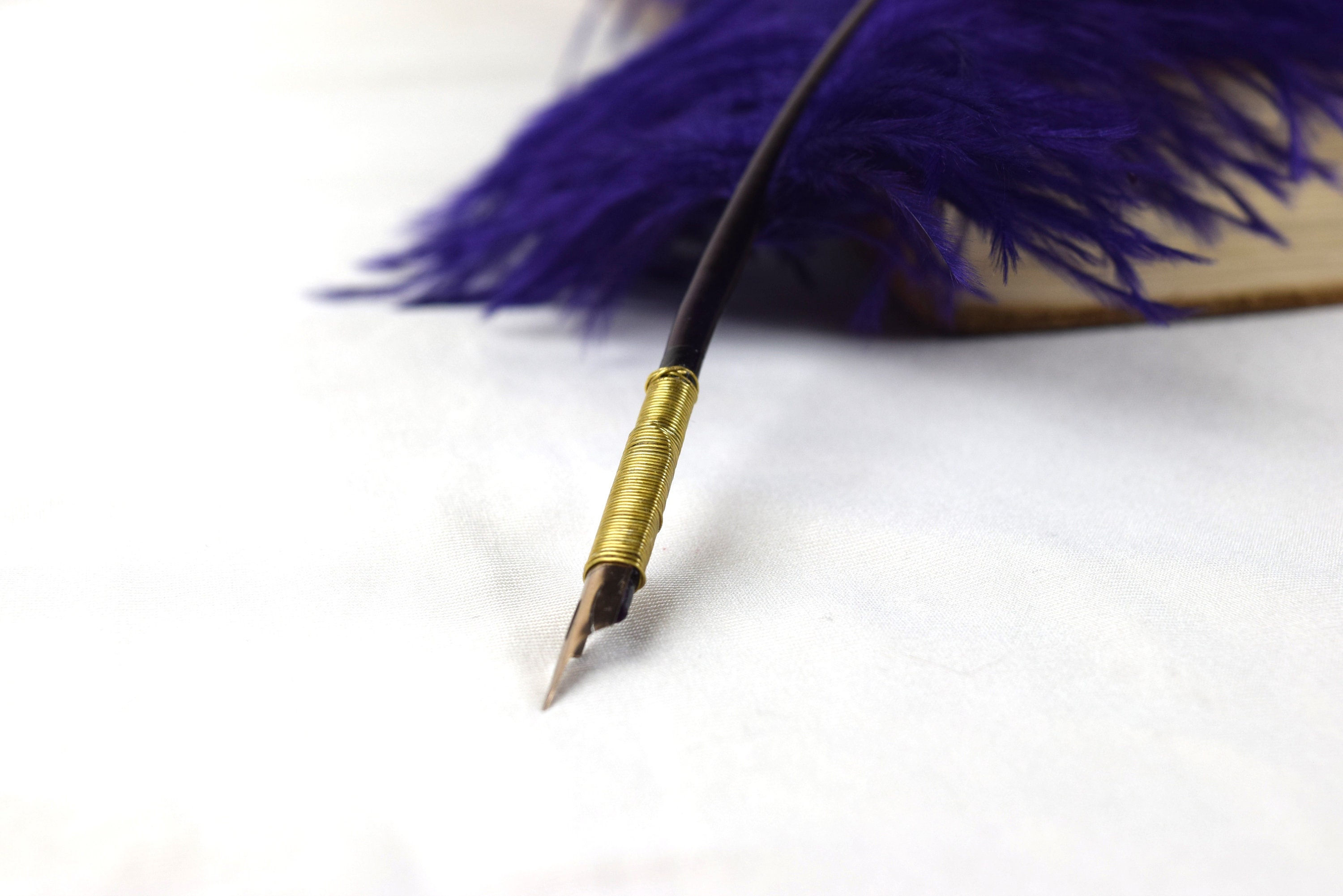 Royal Blue Ostrich Feather Quill Pen – Objets d'Art & Spirit