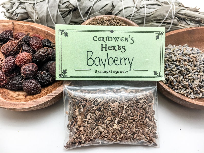 BAYBERRY Dried Herbs Etsy