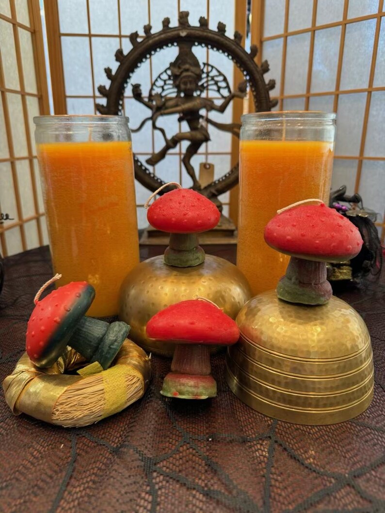 Festival 'shroom Candle Mushroom Candles 'shrooms Novelty Candle Etsy