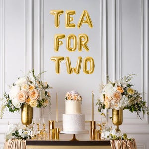 Tea for two balloon banner, second birthday tea party decor, tea party banner, second party decor, tea party theme birthday, partea banner