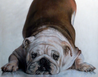 dog portrait, custom portrait, portrait from photo, pastel drawing, pastel portrait, pastel portraits, realistic portrait, christmas gift