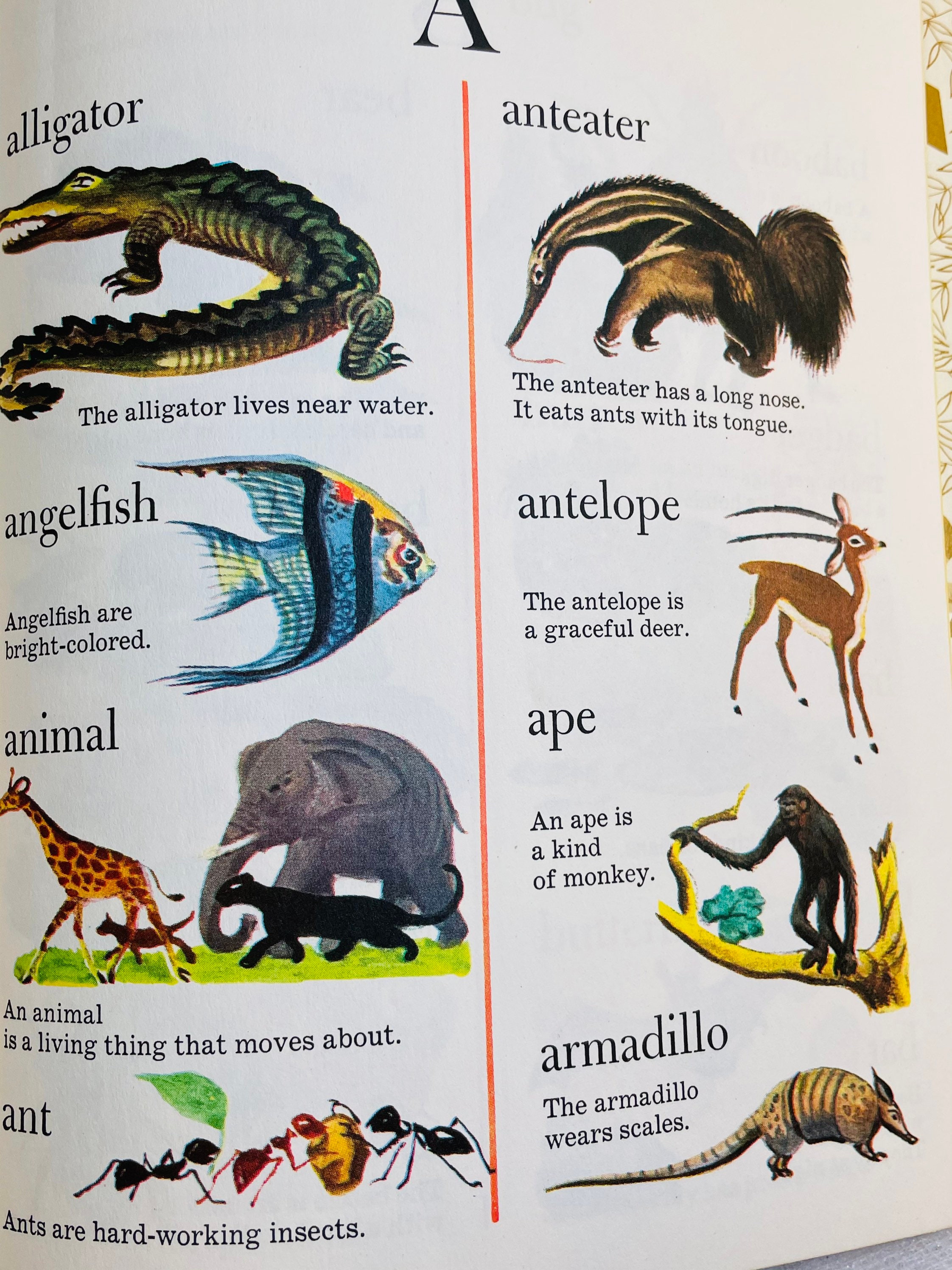 Animal Picture Dictionary