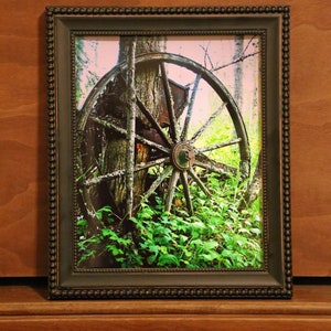 Antique wagon wheel and tree.