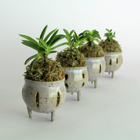 彩音 PSY-ON ORIGINAL CAUDEX POT Mini Orchid Pot, Neofinetia Falcata Pot, Three Legged Pot