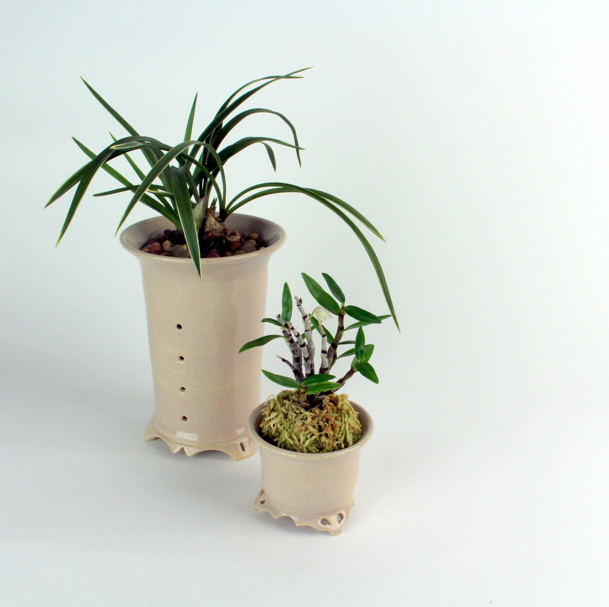 Orchid pot Cymbidium pot handcrafted ceramic L Etsy