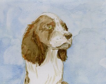 originele handgeschilderde aquarel van hond, puppy, engelse springerspaniël