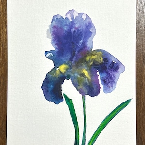 Iris, aquarelle originale de l&#39;artiste ukrainienne Marina Stognieva. Art floral