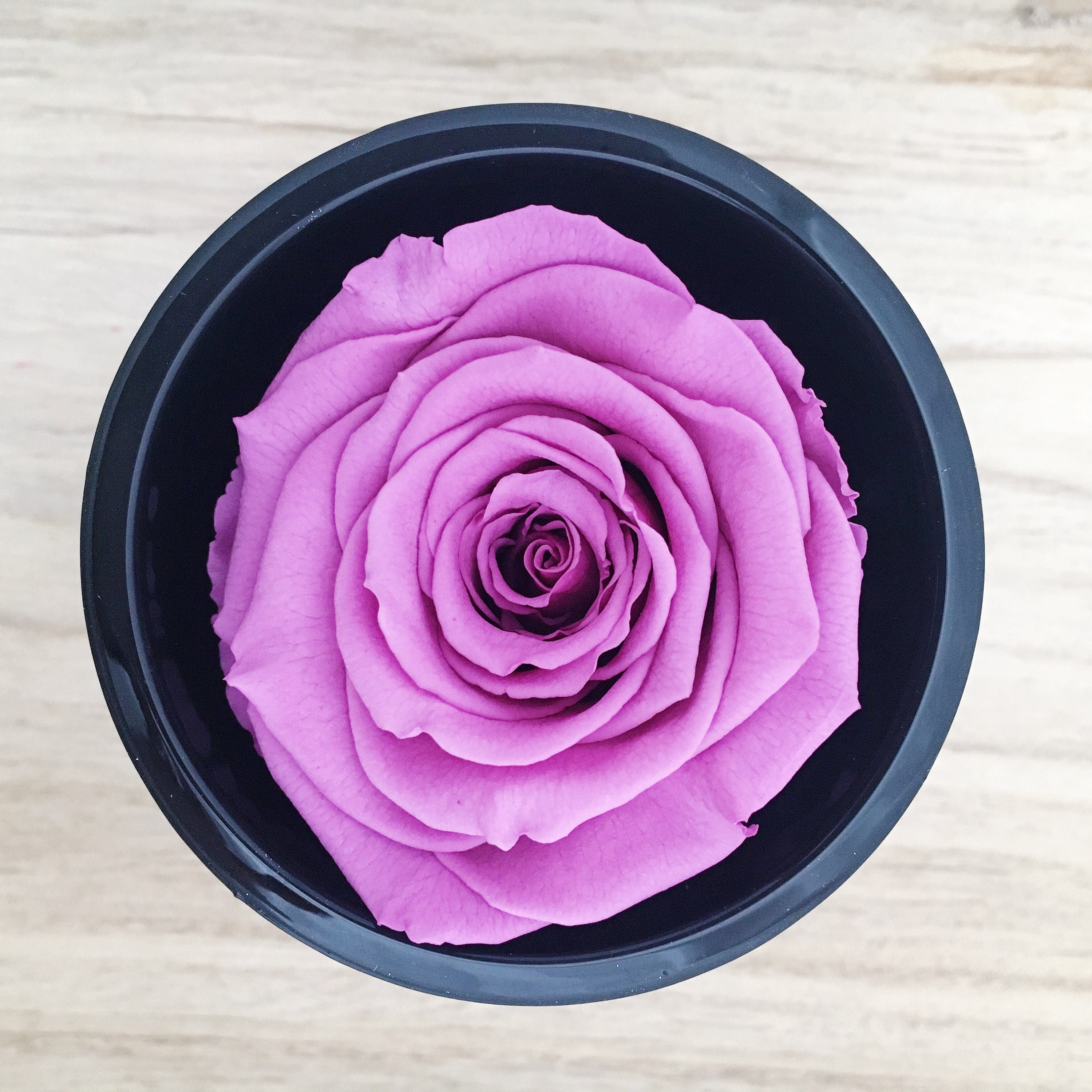 Preserved Rose Everlasting Rose Eternal Rose Forever Rose Etsy