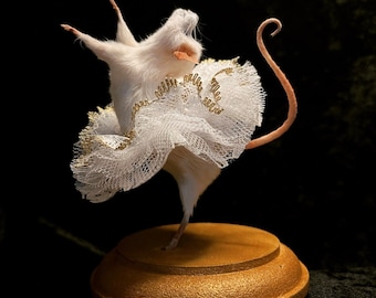 Angelina Ballerina