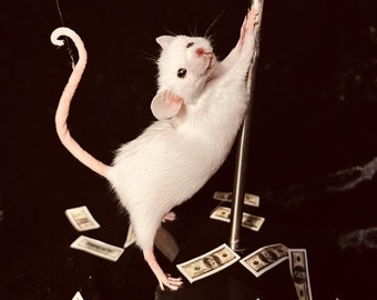 Stripper Mouse - Jo-Jo