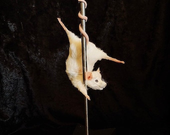 Stripper Mouse - Tiffany