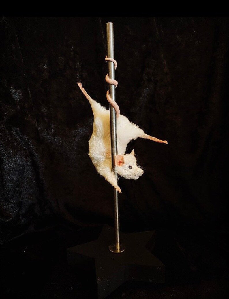 Stripper Mouse Tiffany Etsy