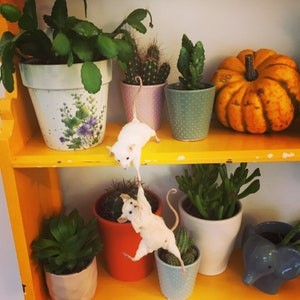 Hold On Tight | Hanging Mouse Duo | Climbing Taxidermy Mice | Ethical Oddities & Creepy Cute Shelf Decor